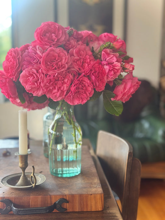 A Mother, her daughter & the garden: The Story Behind Lovette Heritage