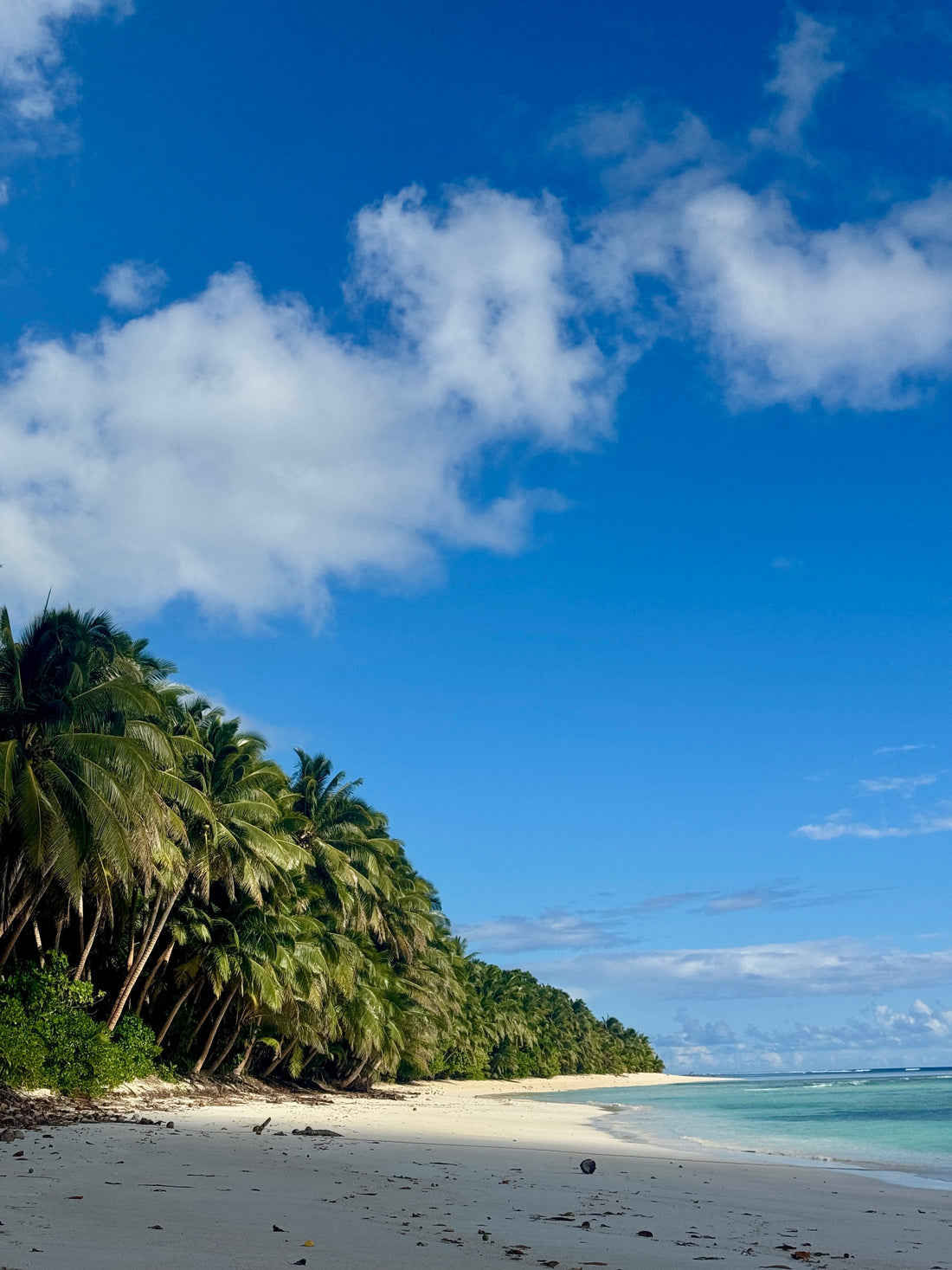 The Non-Christmas Christmas - A Reflection